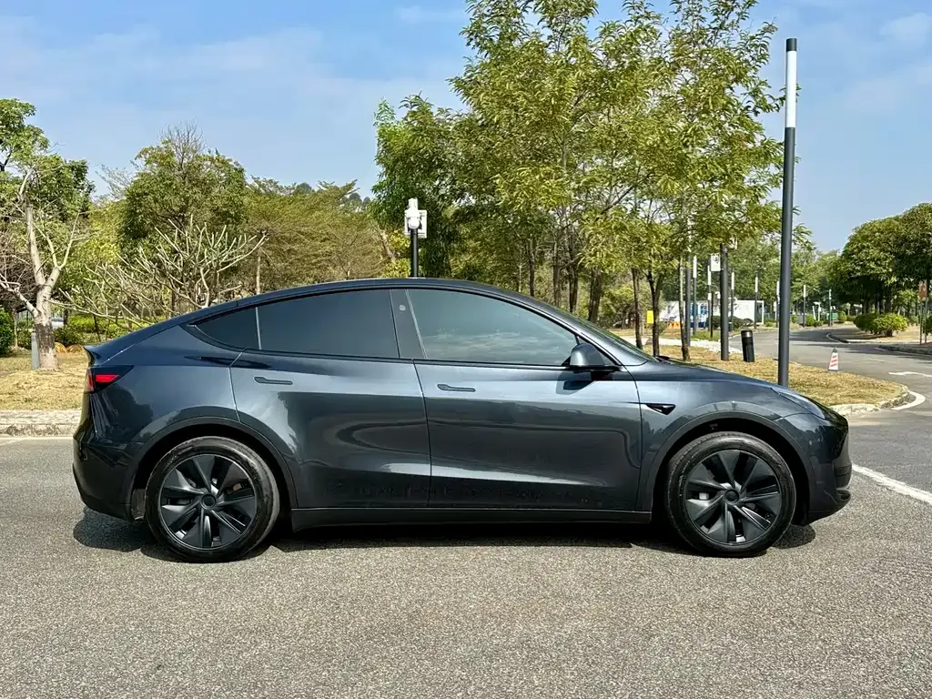 Tesla Model Y 2024 из CN, фото 4