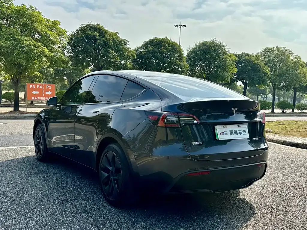 Tesla Model Y 2024 из CN, фото 6