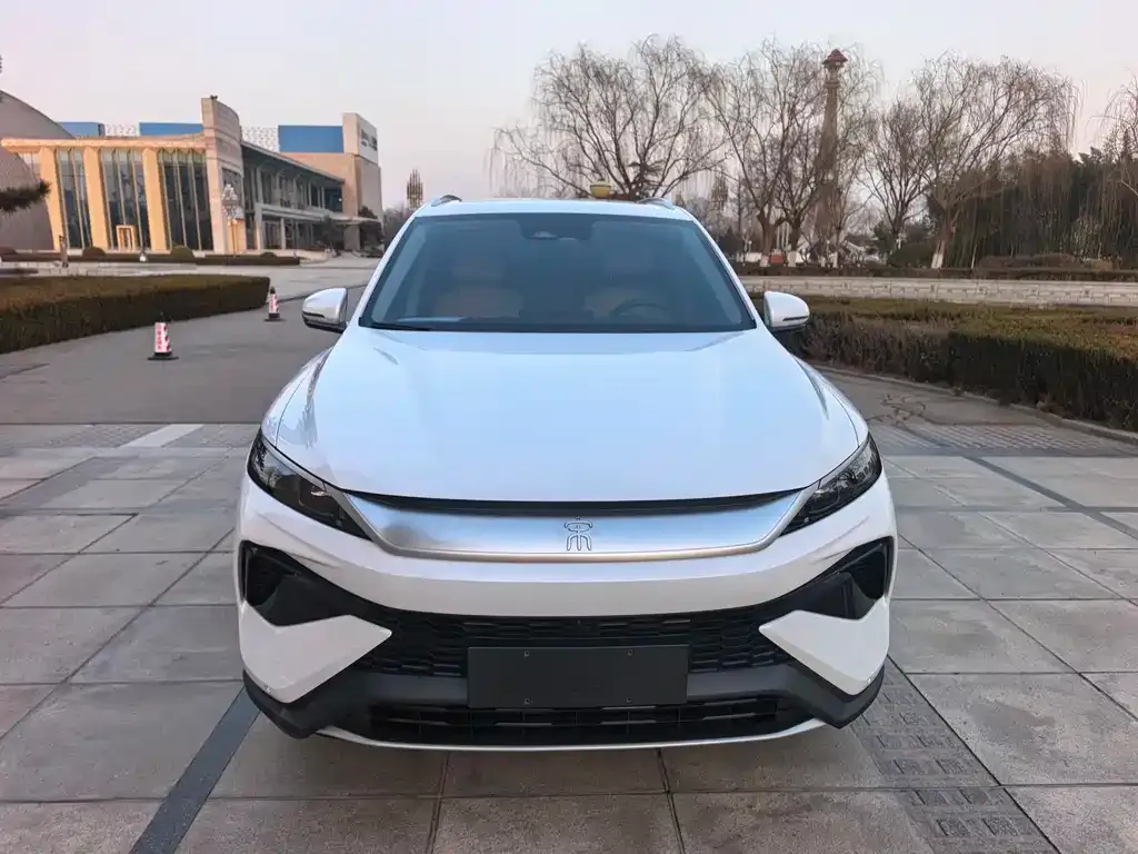 BYD Pro New Energy 2025 из CN, фото 1