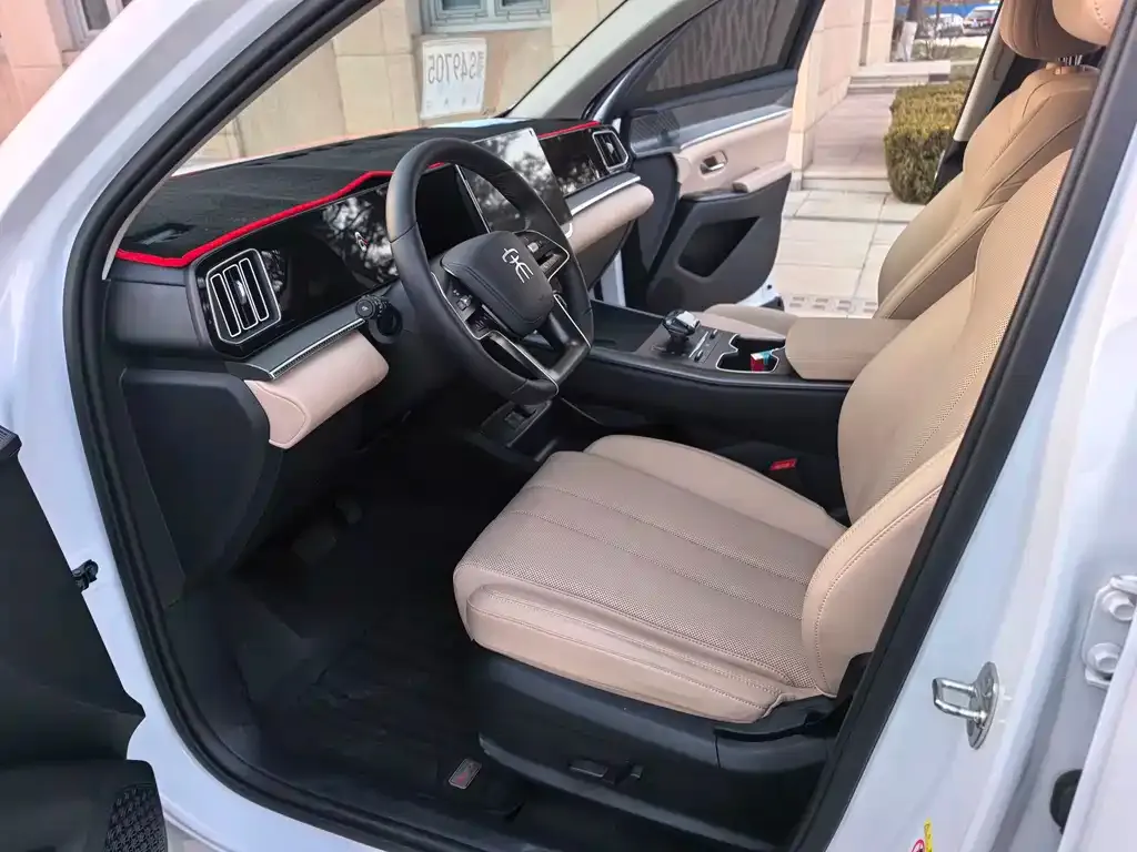 BYD Pro New Energy 2025 из CN, фото 3