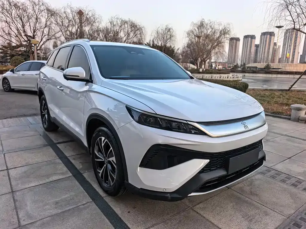 BYD Pro New Energy 2025 из CN, фото 4
