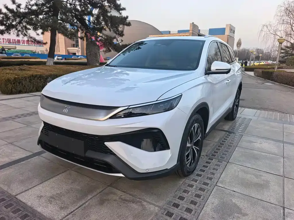 BYD Pro New Energy 2025 из CN, фото 6