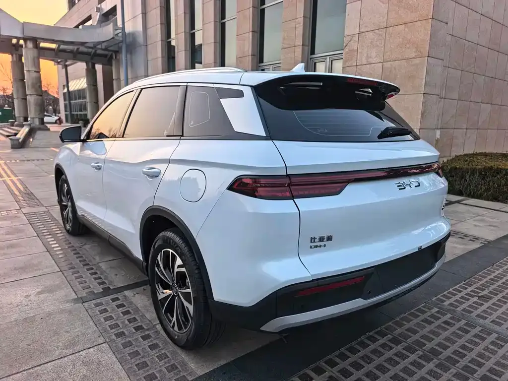 BYD Pro New Energy 2025 из CN, фото 8