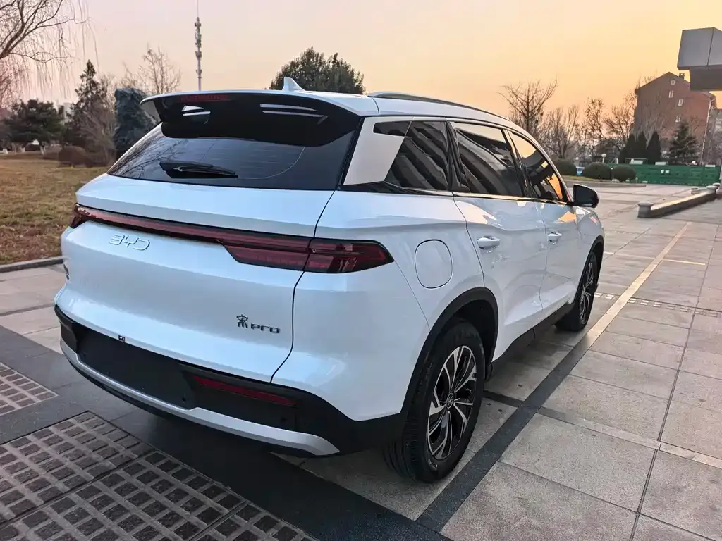 BYD Pro New Energy 2025 из CN, фото 5