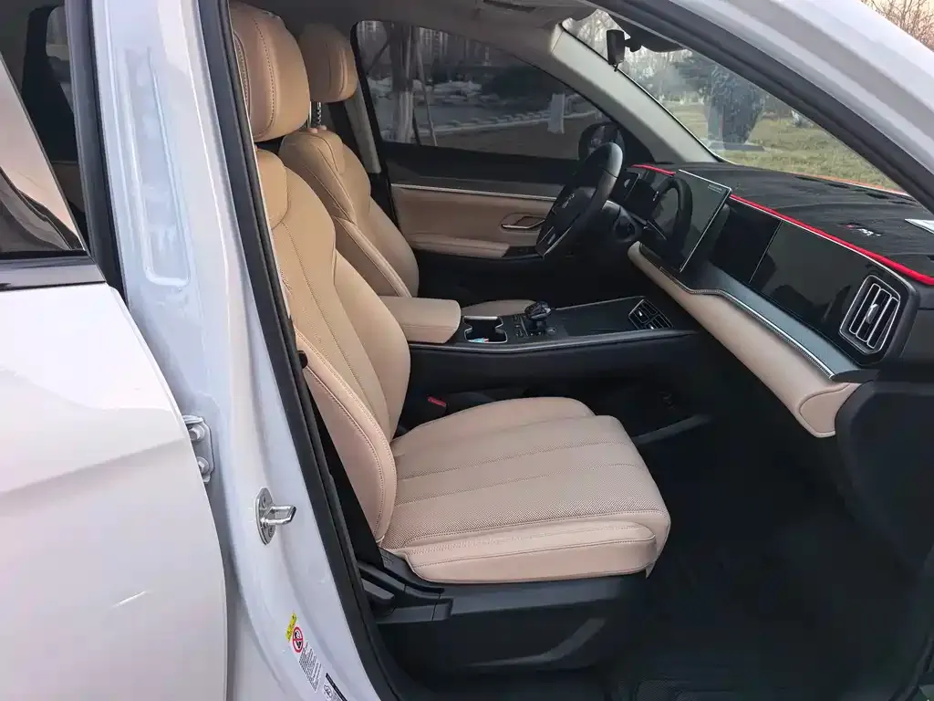 BYD Pro New Energy 2025 из CN, фото 7