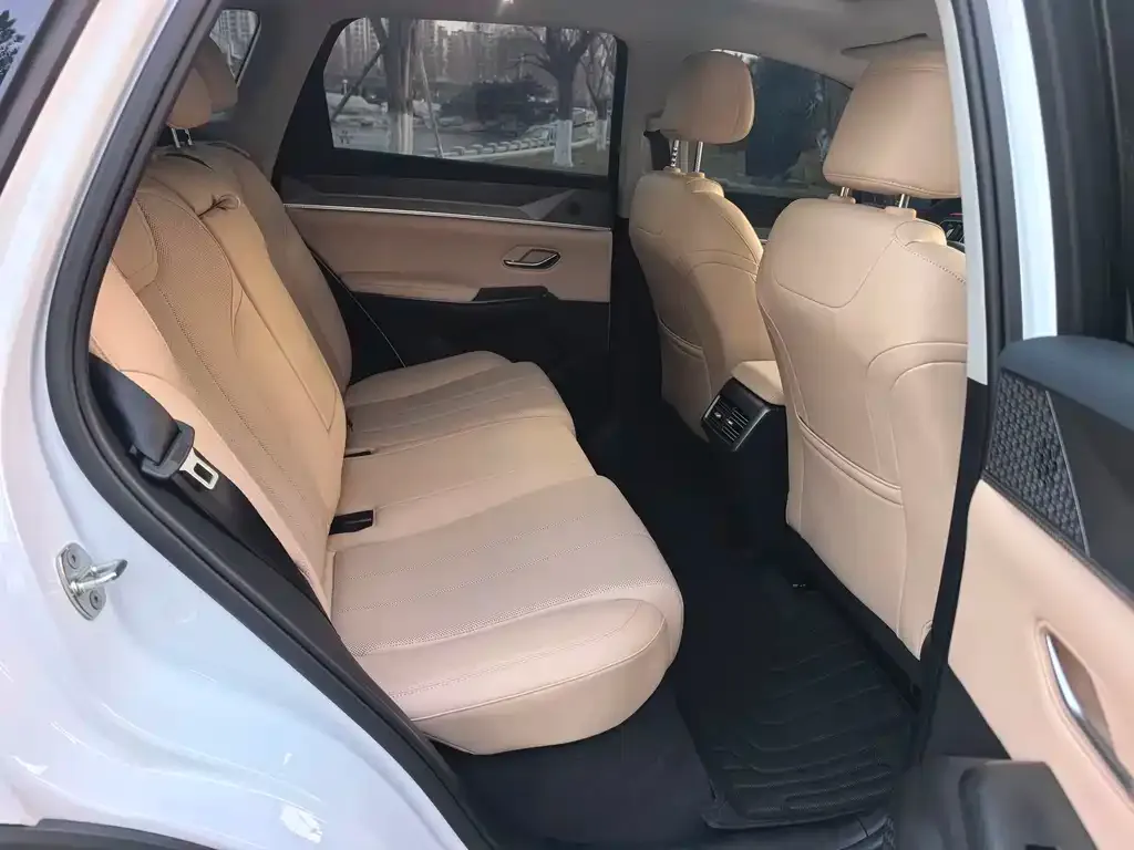 BYD Pro New Energy 2025 из CN, фото 2