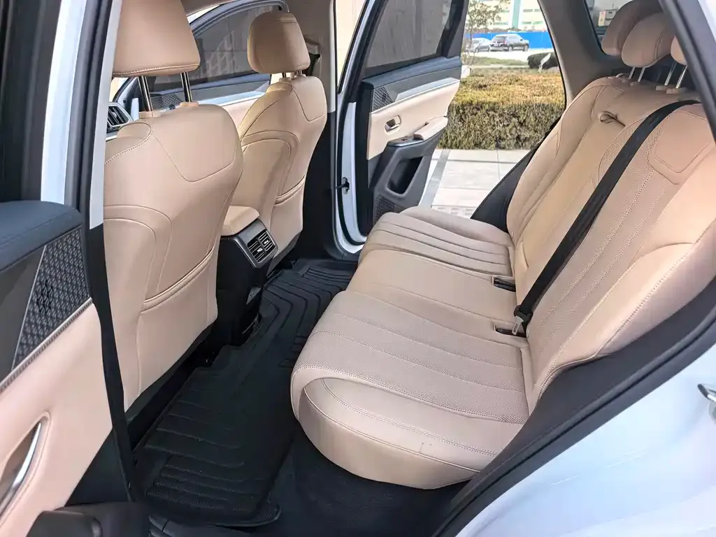 BYD Pro New Energy 2025 из CN, фото 9