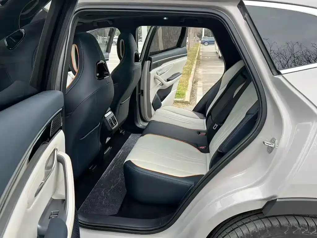 BYD PLUS New Energy 2024 из CN, фото 3