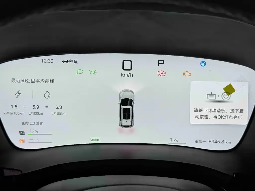 BYD PLUS New Energy 2025 из CN, фото 4