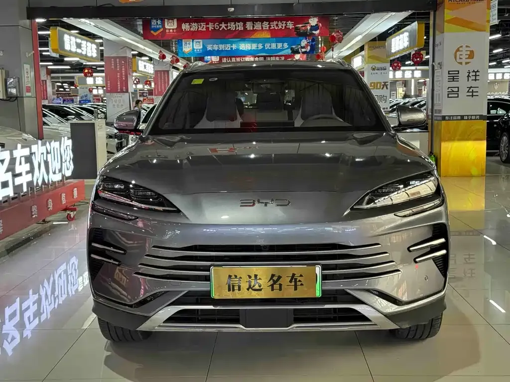 BYD PLUS New Energy 2025 из CN, фото 9