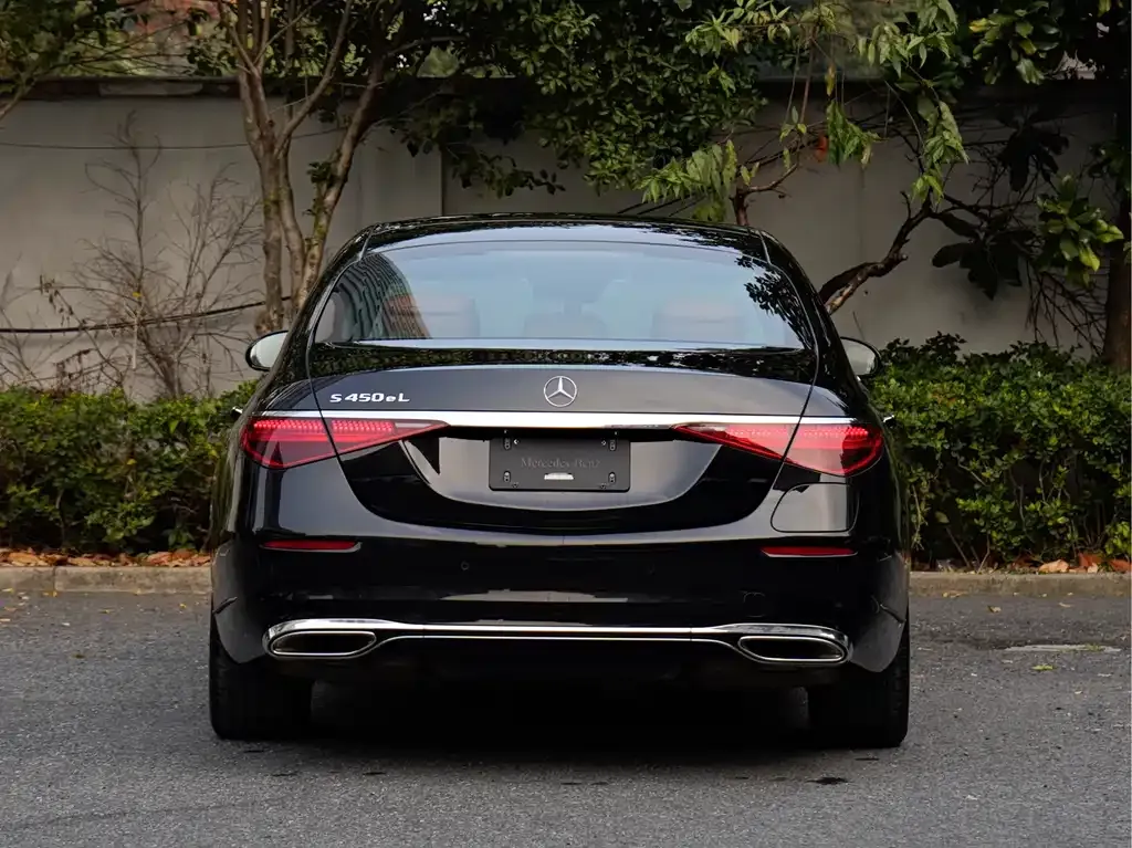 Mercedes-Benz S-Class New Energy 2023 из CN, фото 5