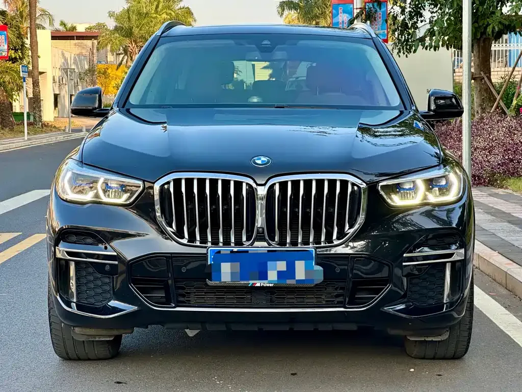 BMW X5 (Import) 2022 из CN, фото 8