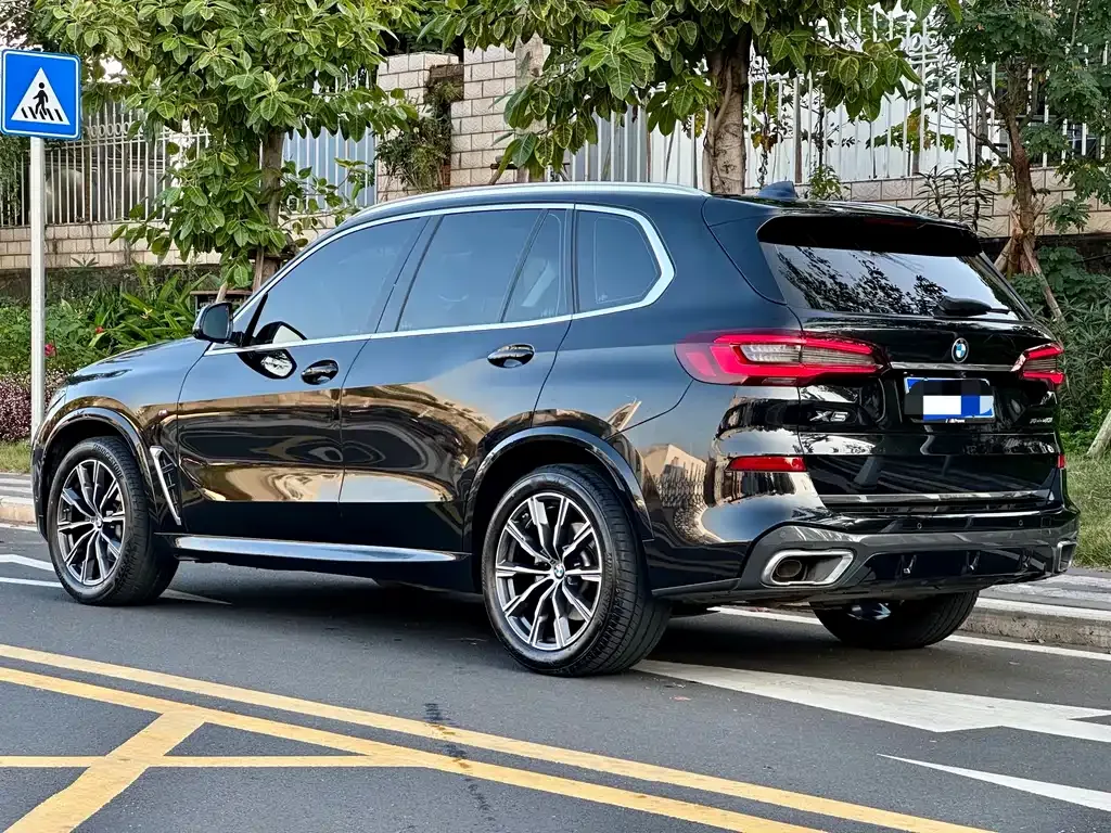 BMW X5 (Import) 2022 из CN, фото 9