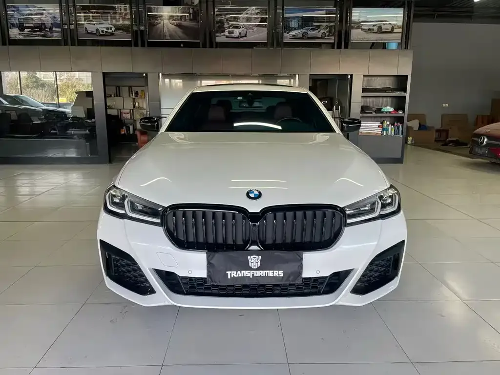 BMW 5 Series 2022 из CN, фото 5