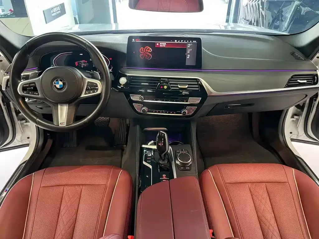 BMW 5 Series 2022 из CN, фото 9