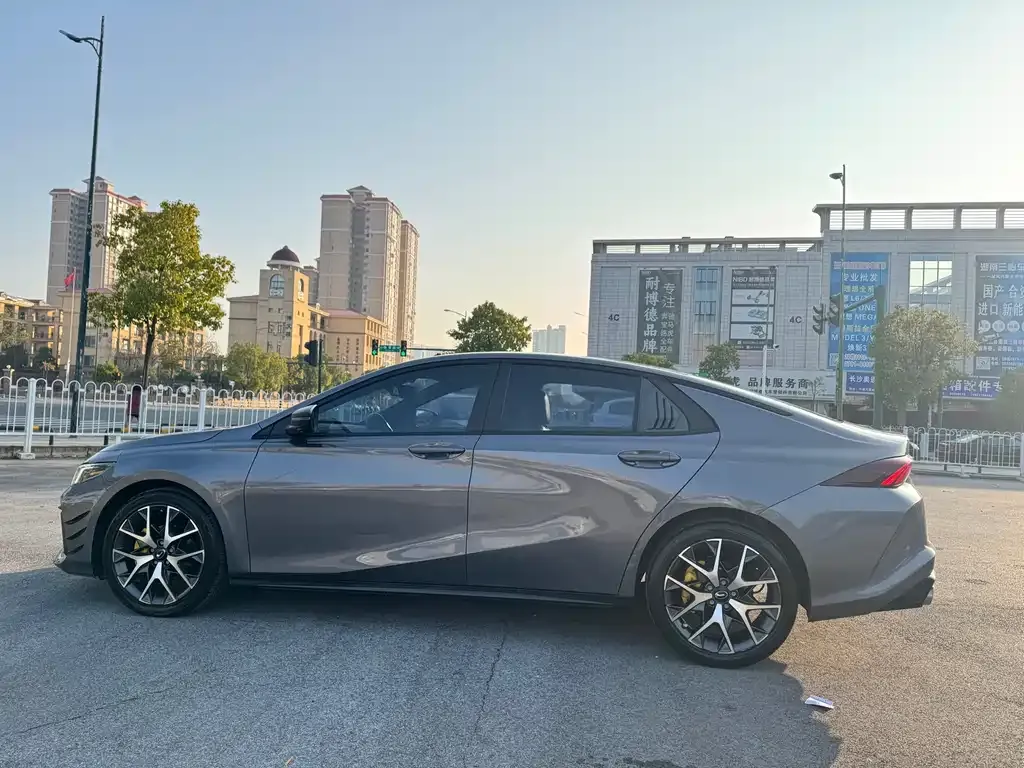 GAC Motor Shadow Leopard 2021 из CN, фото 4