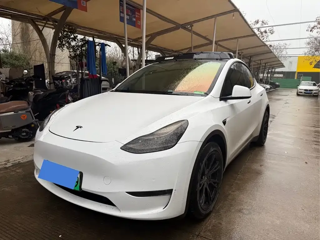 Tesla Model Y 2021 из CN, фото 1