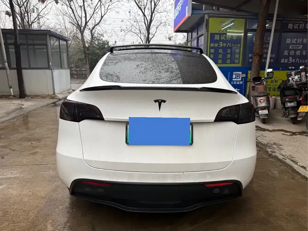 Tesla Model Y 2021 из CN, фото 10
