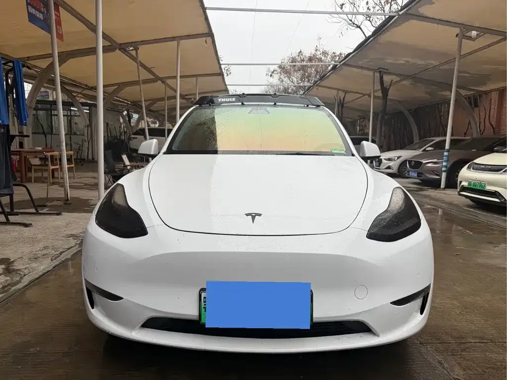 Tesla Model Y 2021 из CN, фото 6