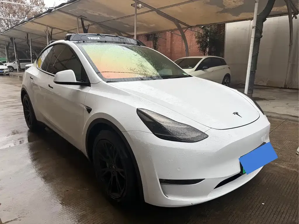 Tesla Model Y 2021 из CN, фото 7