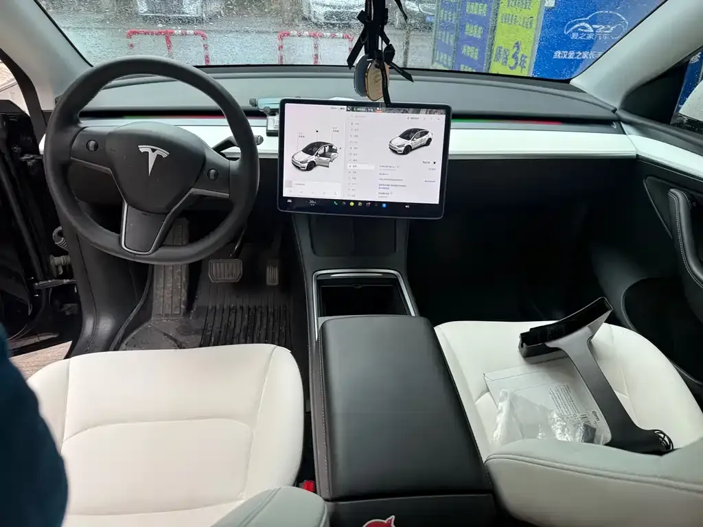 Tesla Model Y 2021 из CN, фото 2
