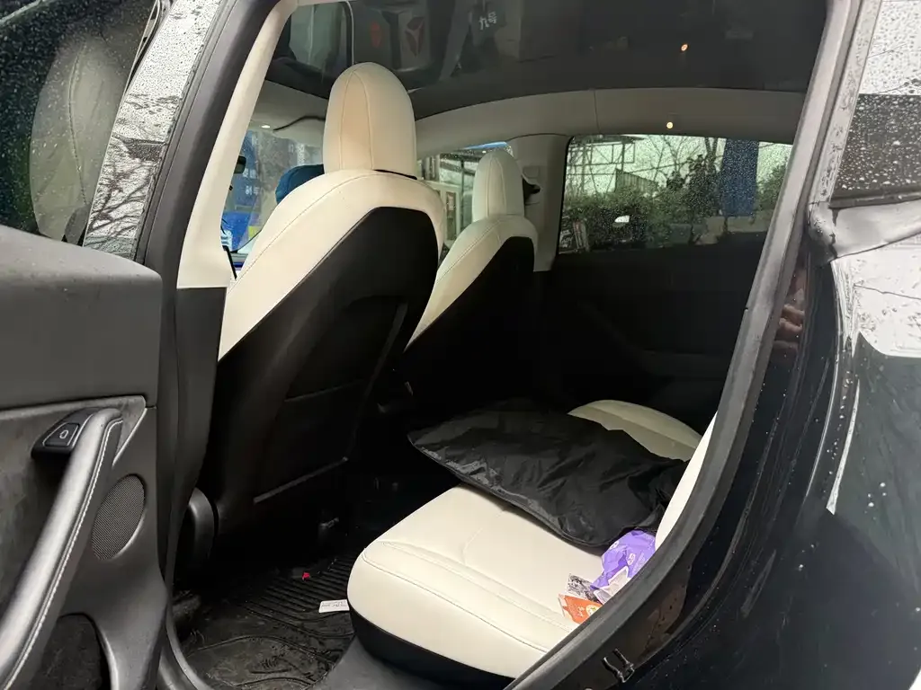 Tesla Model Y 2021 из CN, фото 4