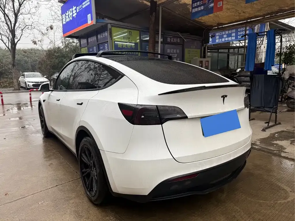 Tesla Model Y 2021 из CN, фото 3