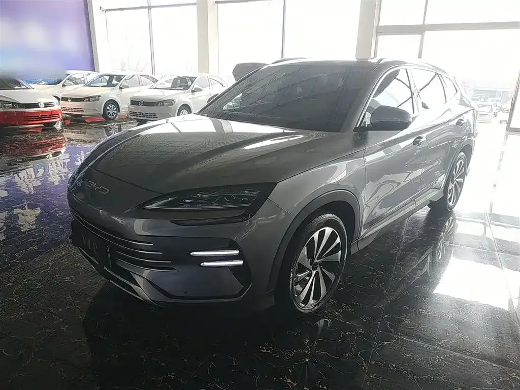 BYD PLUS New Energy 2024 из CN, фото 9