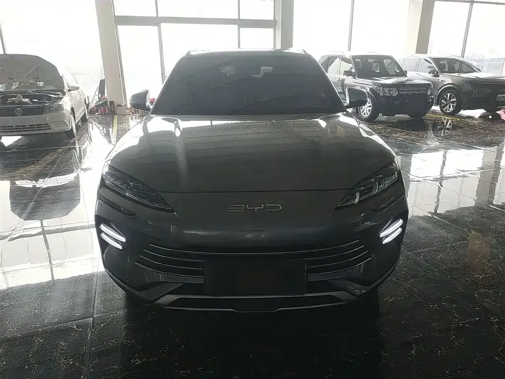 BYD PLUS New Energy 2024 из CN, фото 3