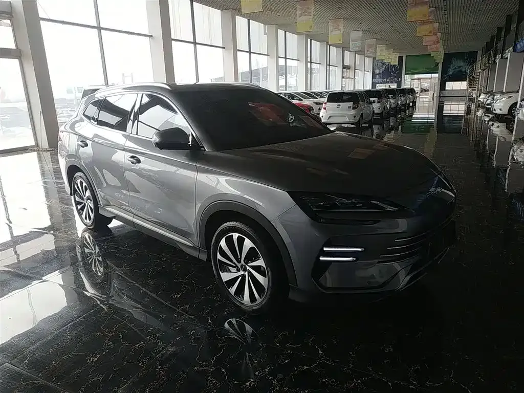 BYD PLUS New Energy 2024 из CN, фото 7