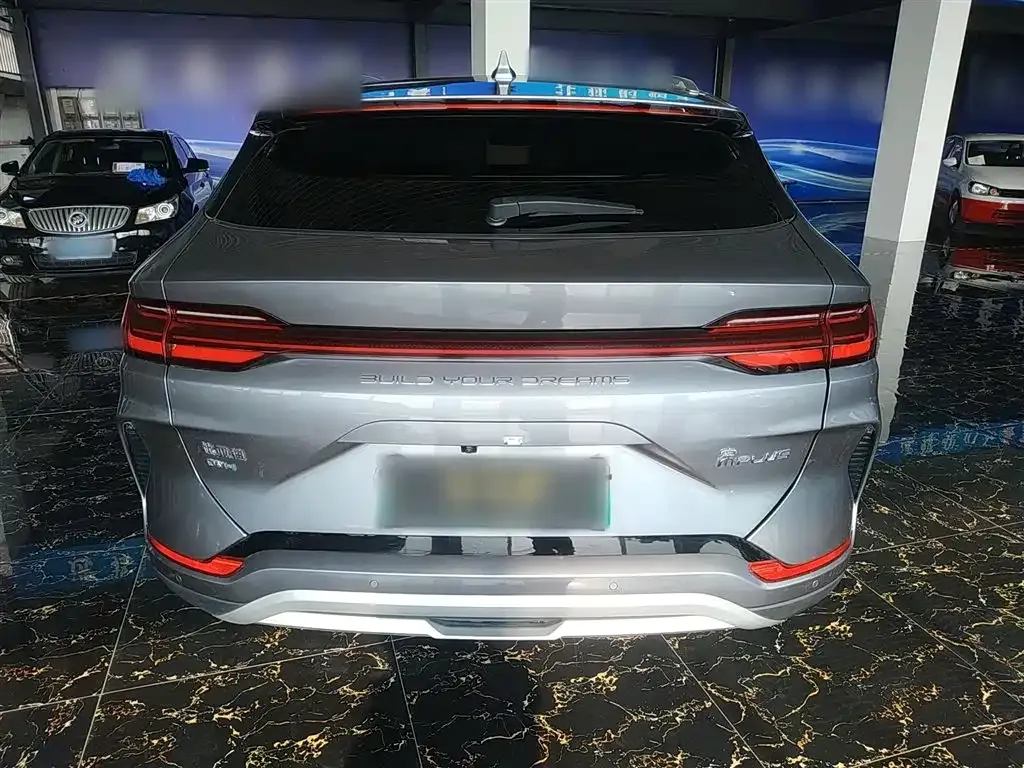 BYD PLUS New Energy 2024 из CN, фото 5