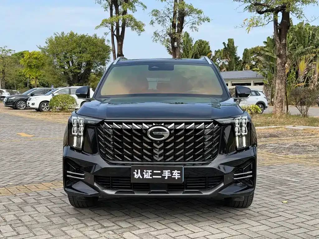 GAC Motor Trumpchi GS8 2023 из CN, фото 2