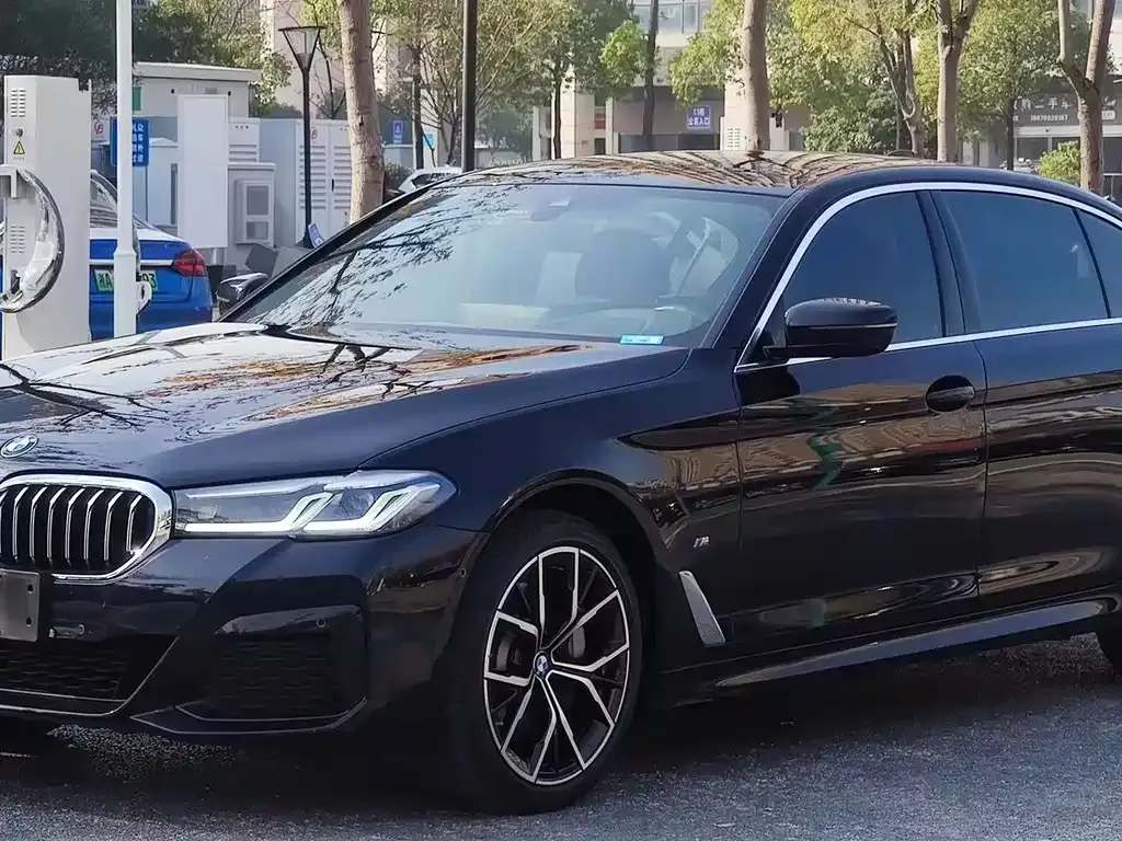 BMW 5 Series 2021 из CN, фото 1
