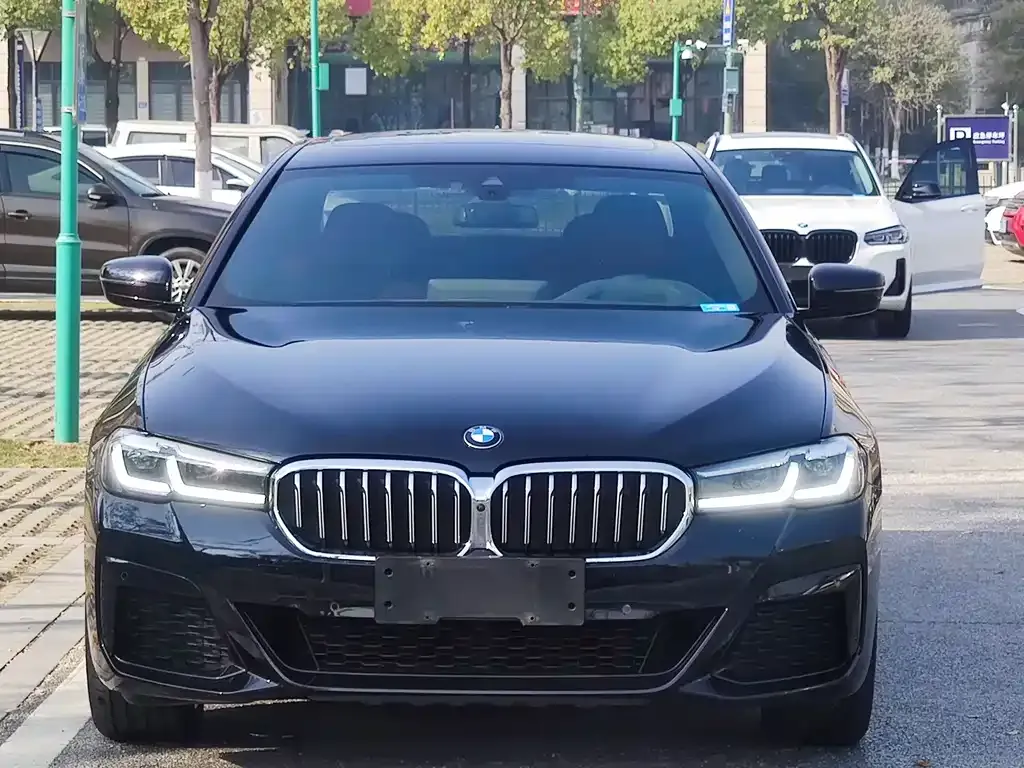 BMW 5 Series 2021 из CN, фото 4