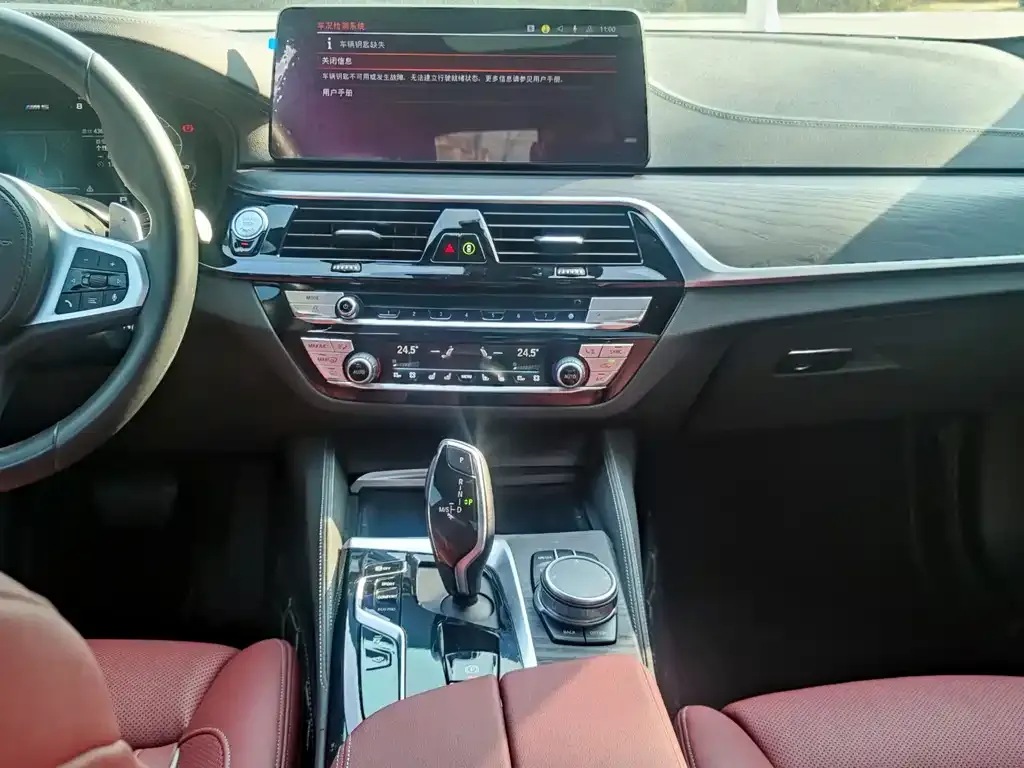 BMW 5 Series 2021 из CN, фото 5