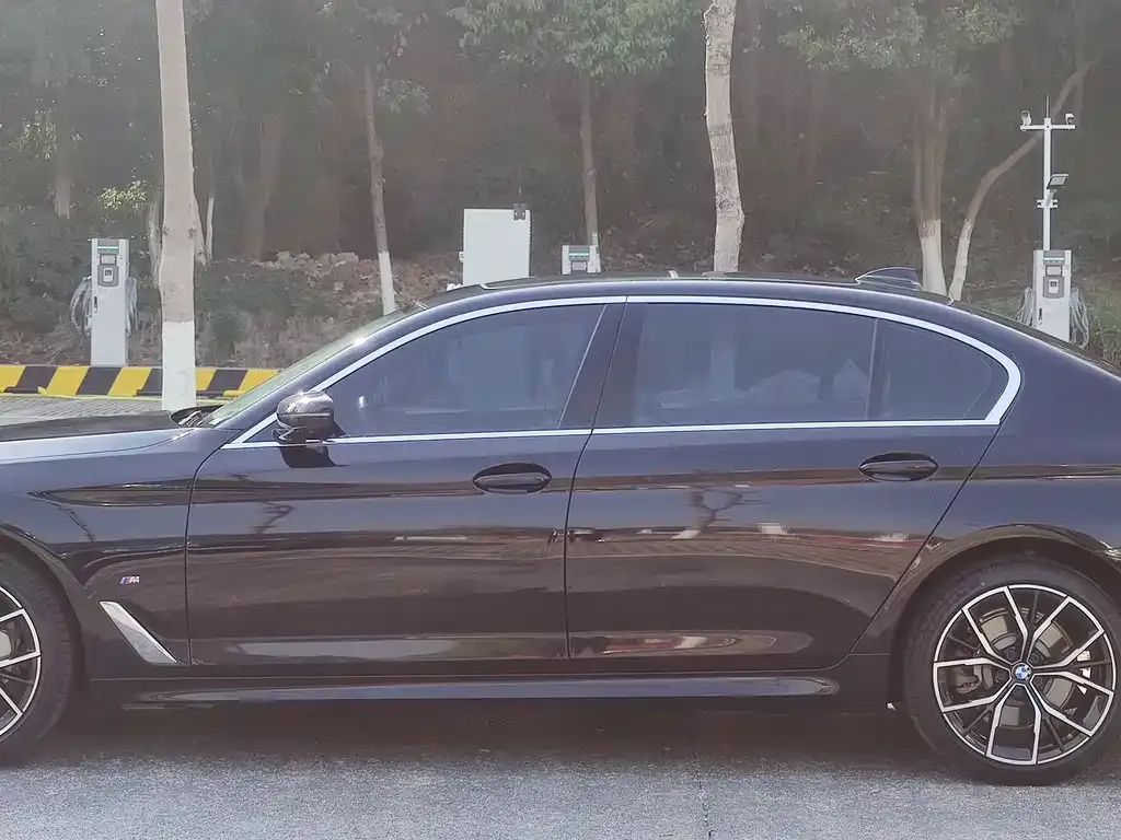 BMW 5 Series 2021 из CN, фото 9