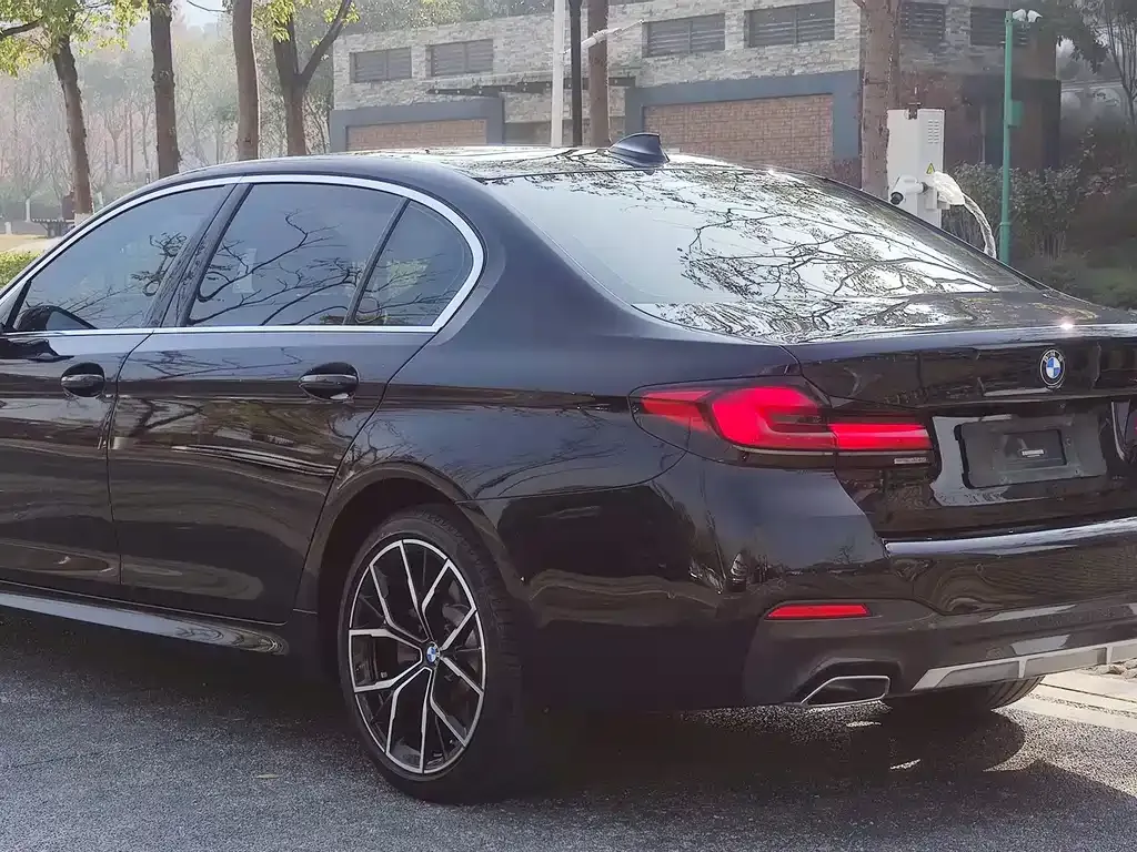 BMW 5 Series 2021 из CN, фото 10