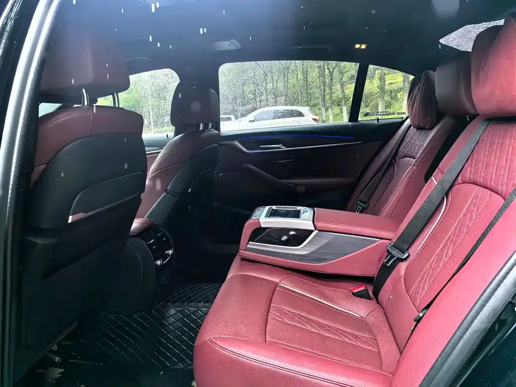 BMW 5 Series 2021 из CN, фото 7