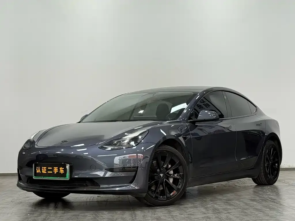 Tesla Model 3 2021 из CN, фото 1