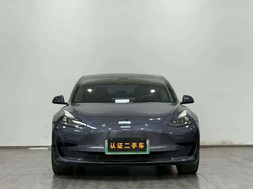 Tesla Model 3 2021 из CN, фото 8