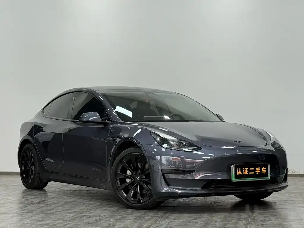 Tesla Model 3 2021 из CN, фото 4
