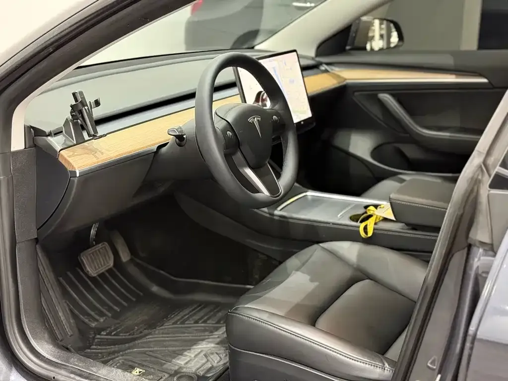 Tesla Model 3 2021 из CN, фото 9