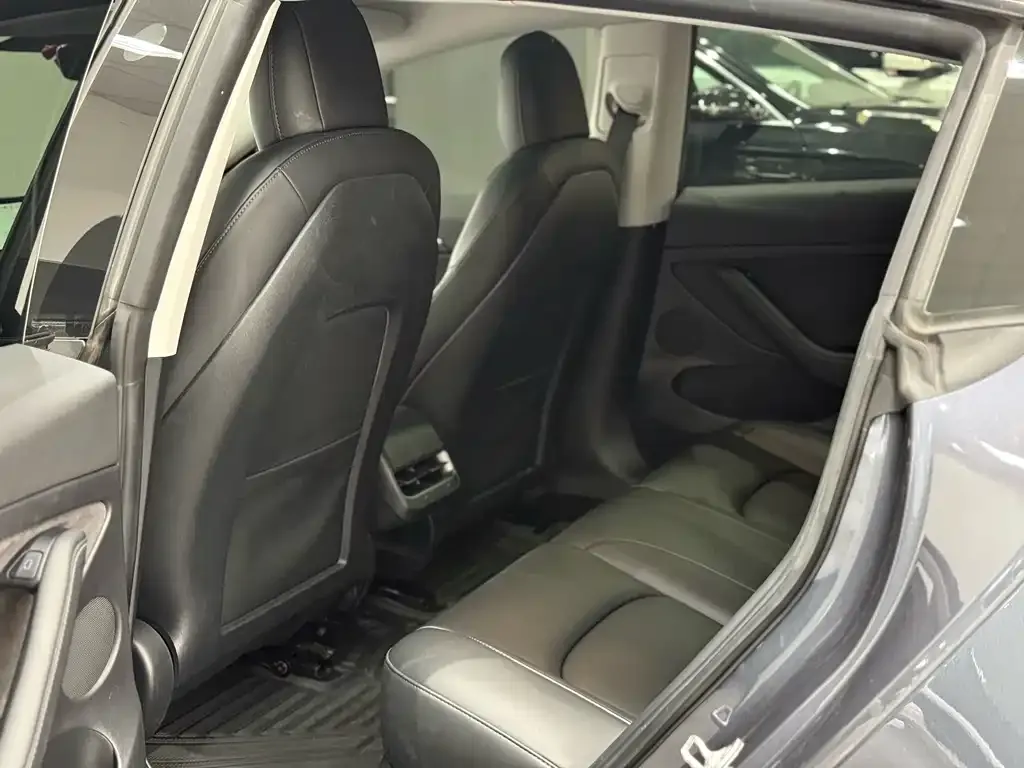 Tesla Model 3 2021 из CN, фото 5