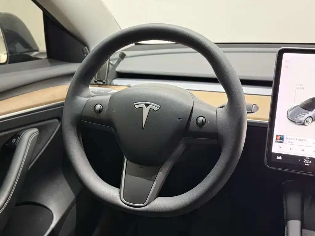 Tesla Model 3 2021 из CN, фото 7