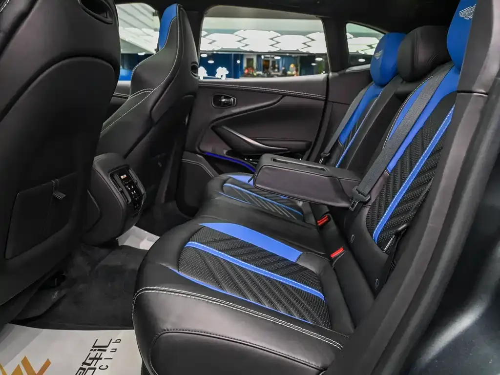 Aston Martin DBX 2024 из CN, фото 8