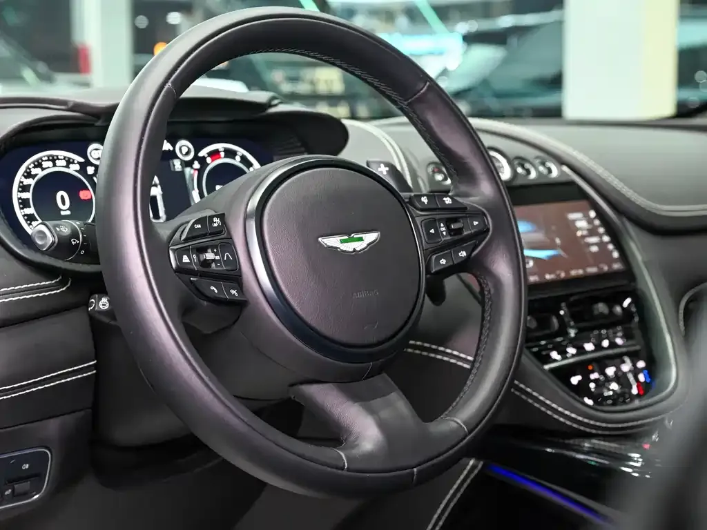Aston Martin DBX 2024 из CN, фото 6