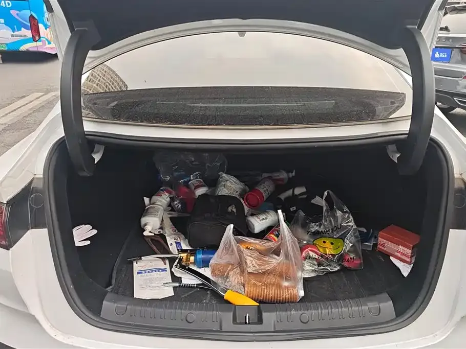 BYD Qin L 2025 из CN, фото 3