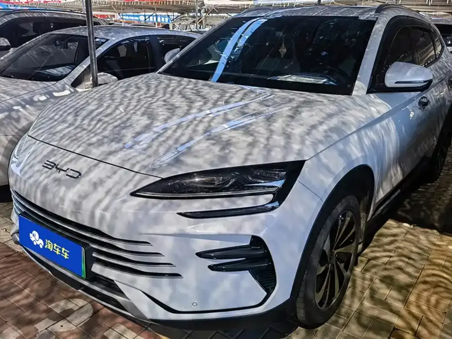 BYD PLUS New Energy 2023 из CN, фото 1