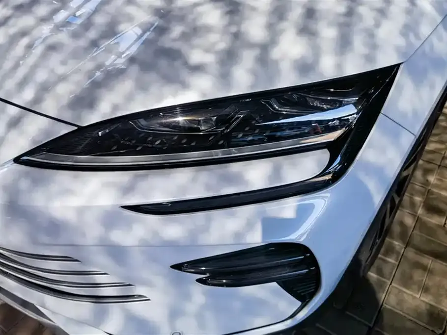 BYD PLUS New Energy 2023 из CN, фото 6