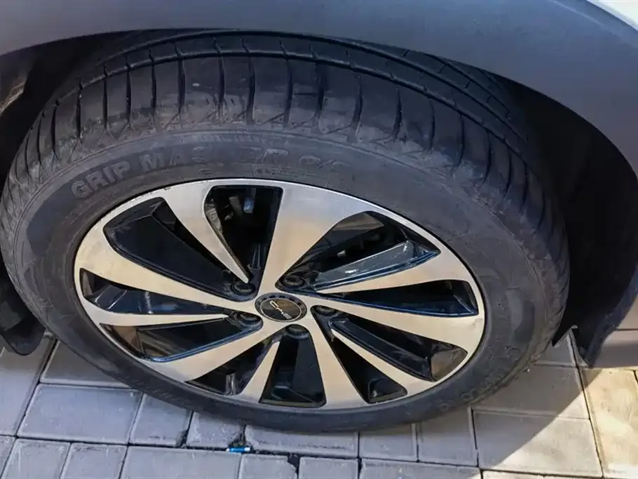 BYD PLUS New Energy 2023 из CN, фото 7